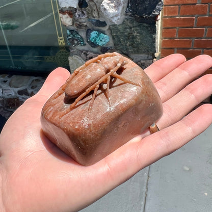 A stone Palo Verde beetle carved from brown jasper.