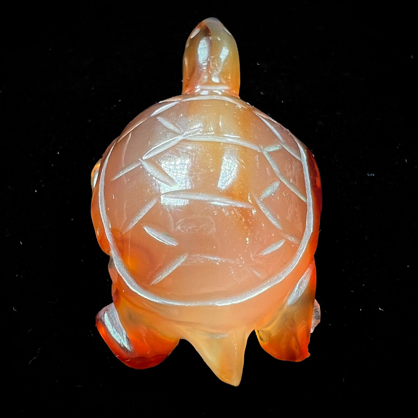 A stone turtle carved from orange carnelian agate.