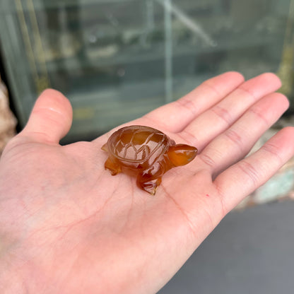A stone turtle carved from orange carnelian agate.