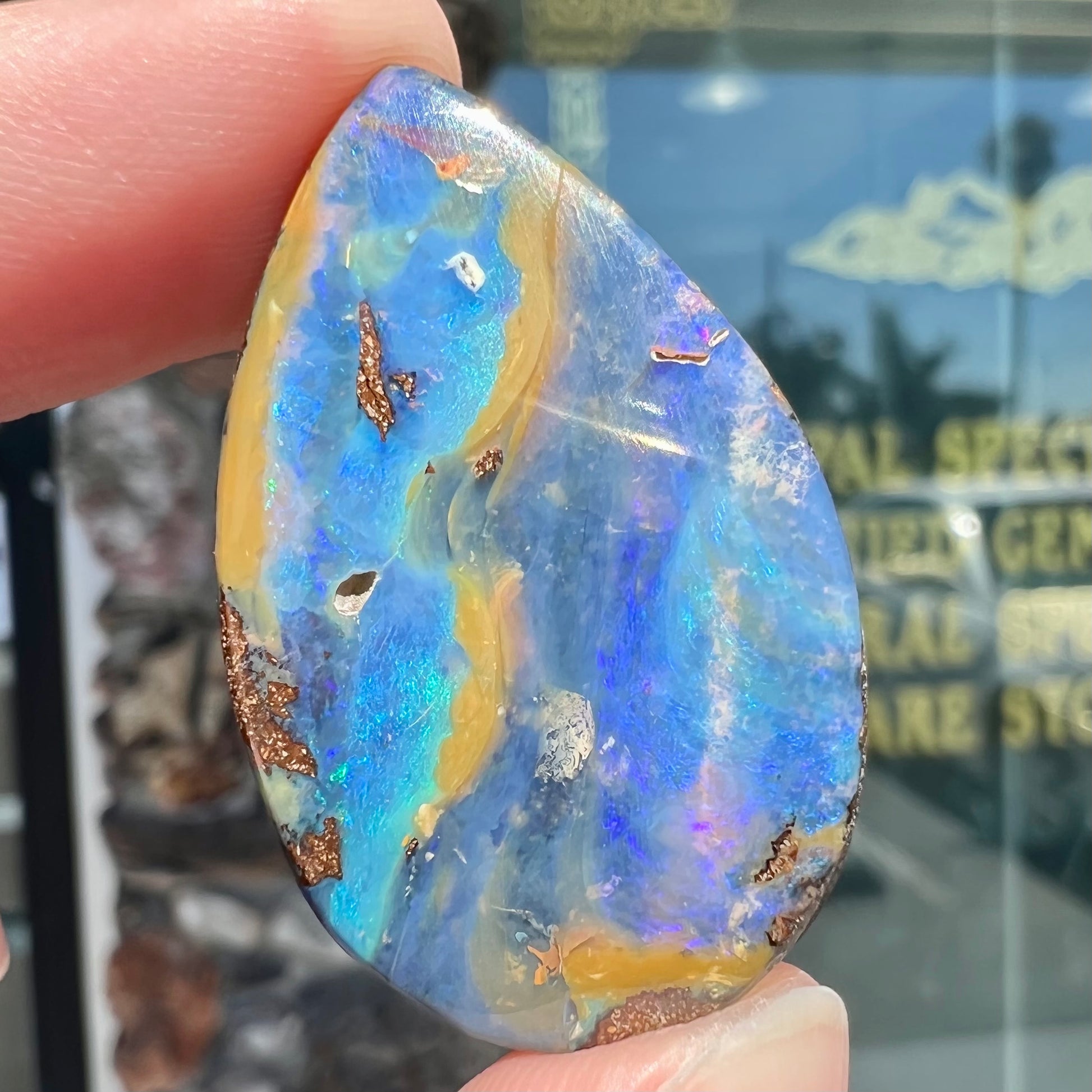 A loose, pear shaped cabochon cut boulder opal stone from Quilpie, Australia.