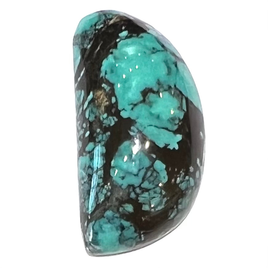 One loose "D" shape Tibetan turquoise cabochon.