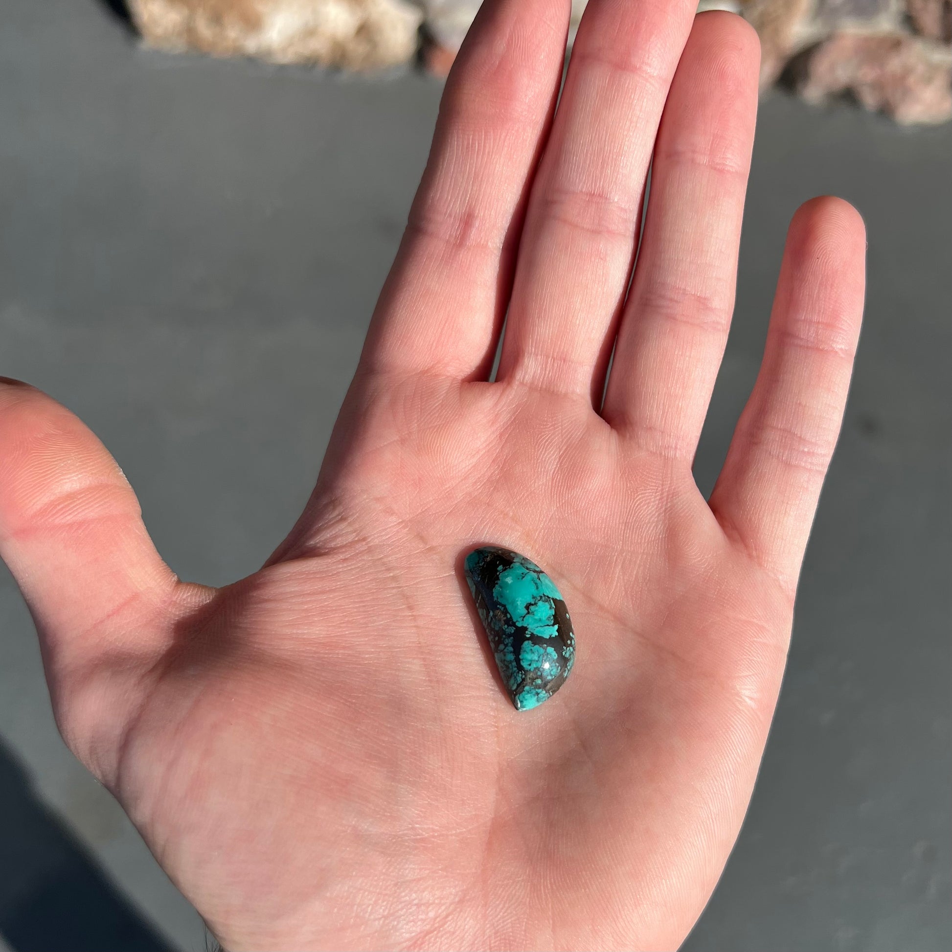 One loose "D" shape Tibetan turquoise cabochon.