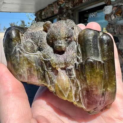 A crystal bear carved from Vietnamese liddicoatite tourmaline by Ronald Stevens.