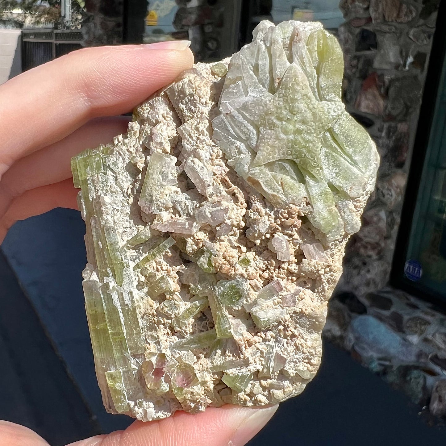 A stone carving of two fish swimming together carved from a watermelon tourmaline crystal conglomerate by artist, Ronald Stevens.