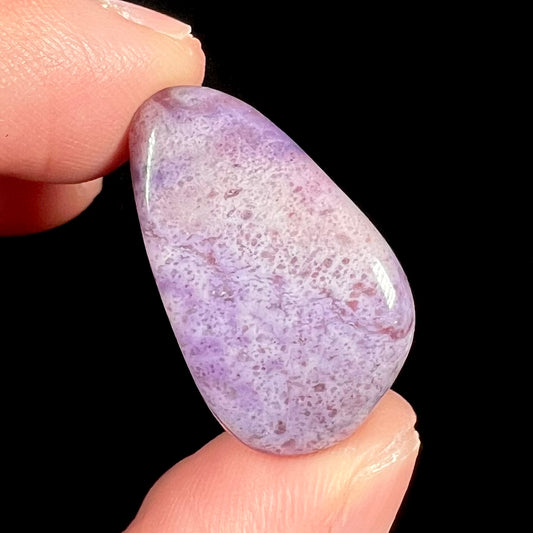 A tumble polished piece of speckled turkiyenite stone, also known as Turkish purple jade.