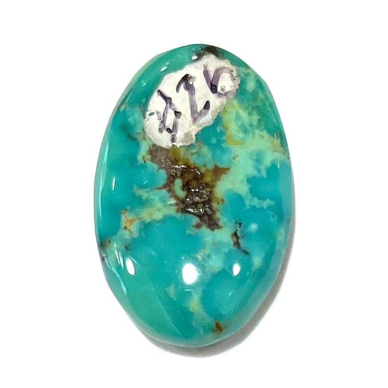 Loose Pilot Mountain turquoise with a pattern of brown matrix spots that resembles a star.  星绿松石