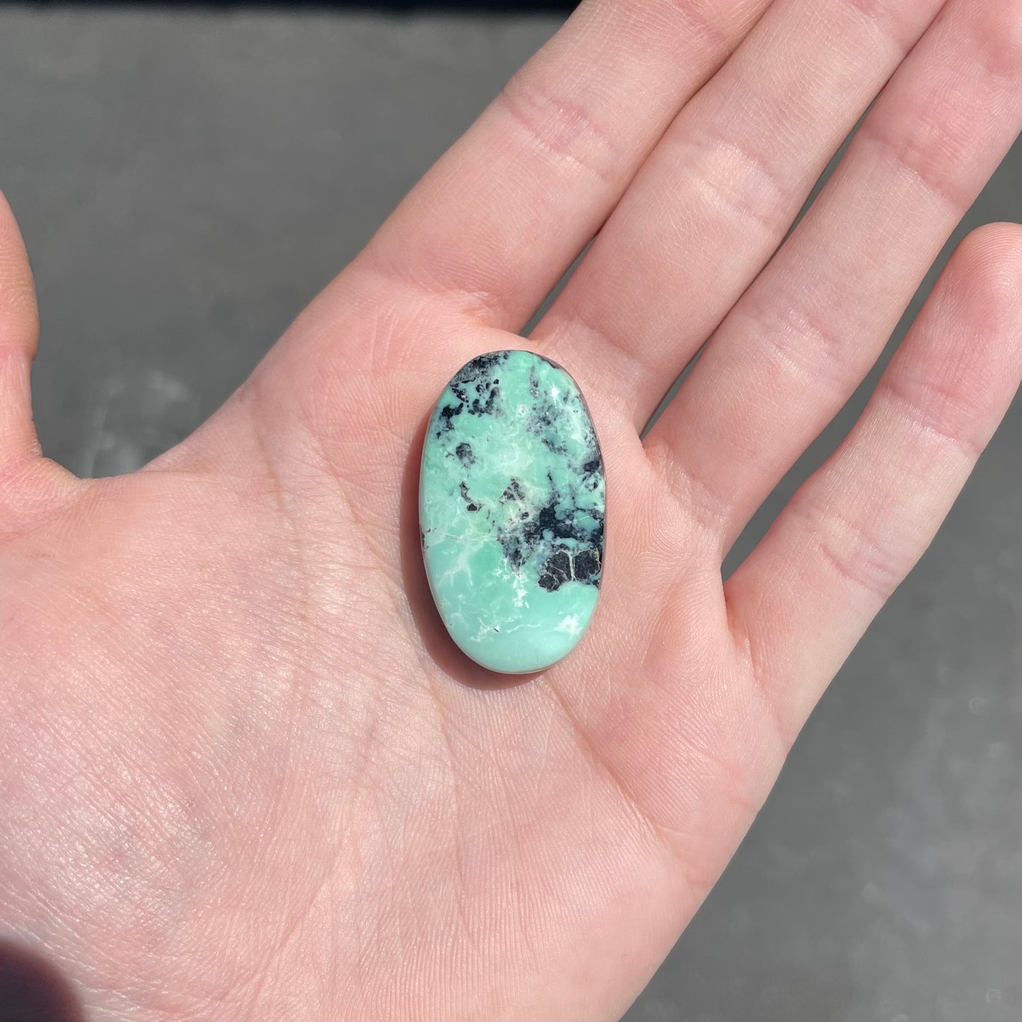 Turquoise #69 | Badger