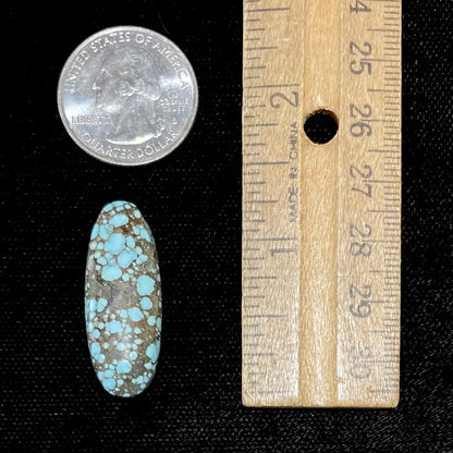 A loose, oval cabochon cut turquoise stone from the Number 8 Mine in Lander County, Nevada.