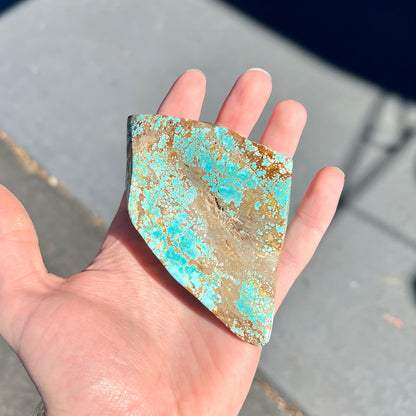 A polished Cripple Creek turquoise nugget from Teller County, Colorado.
