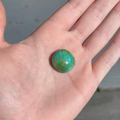 A loose, polished turquoise cabochon from Manassa, Colorado.