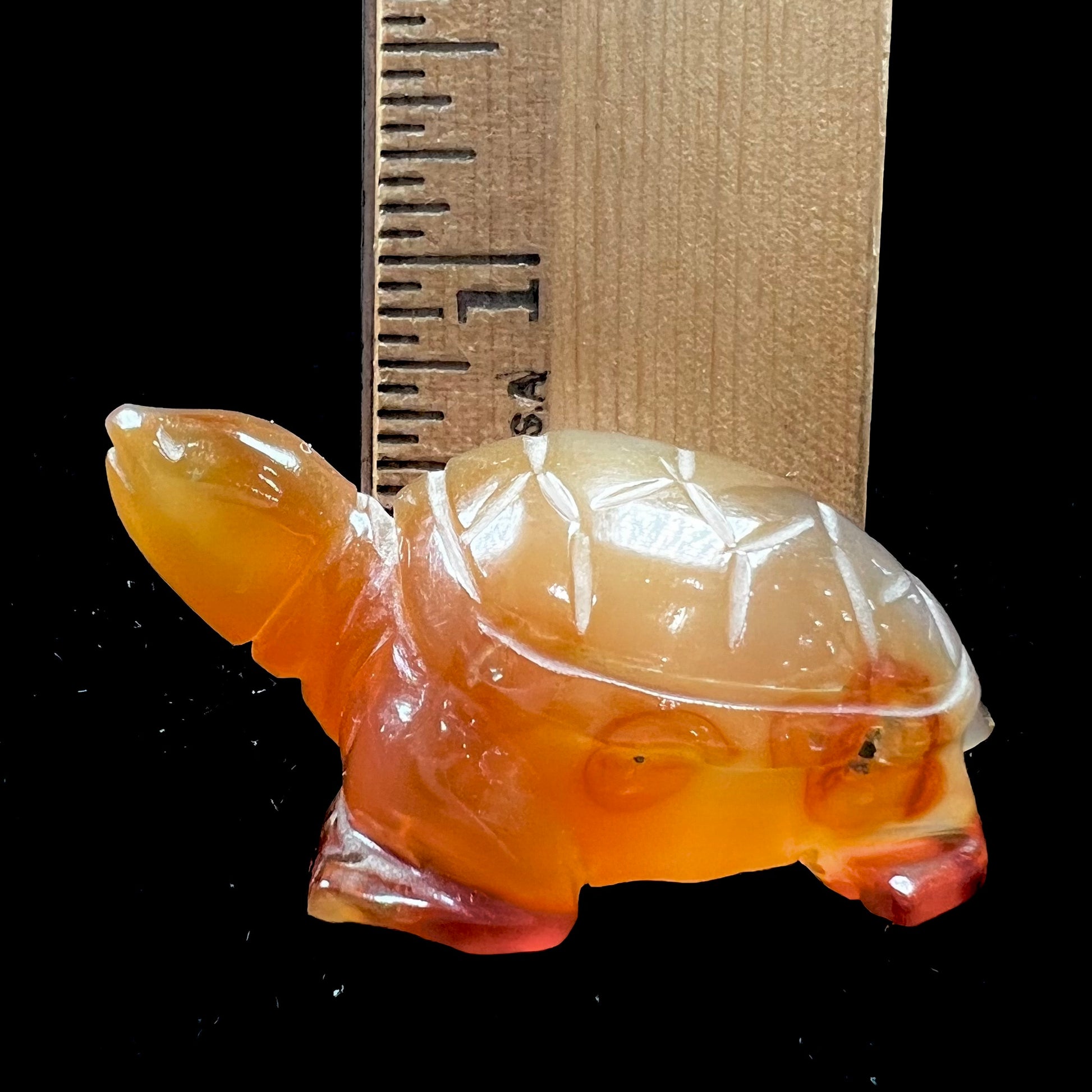 A stone turtle carved from orange carnelian agate.