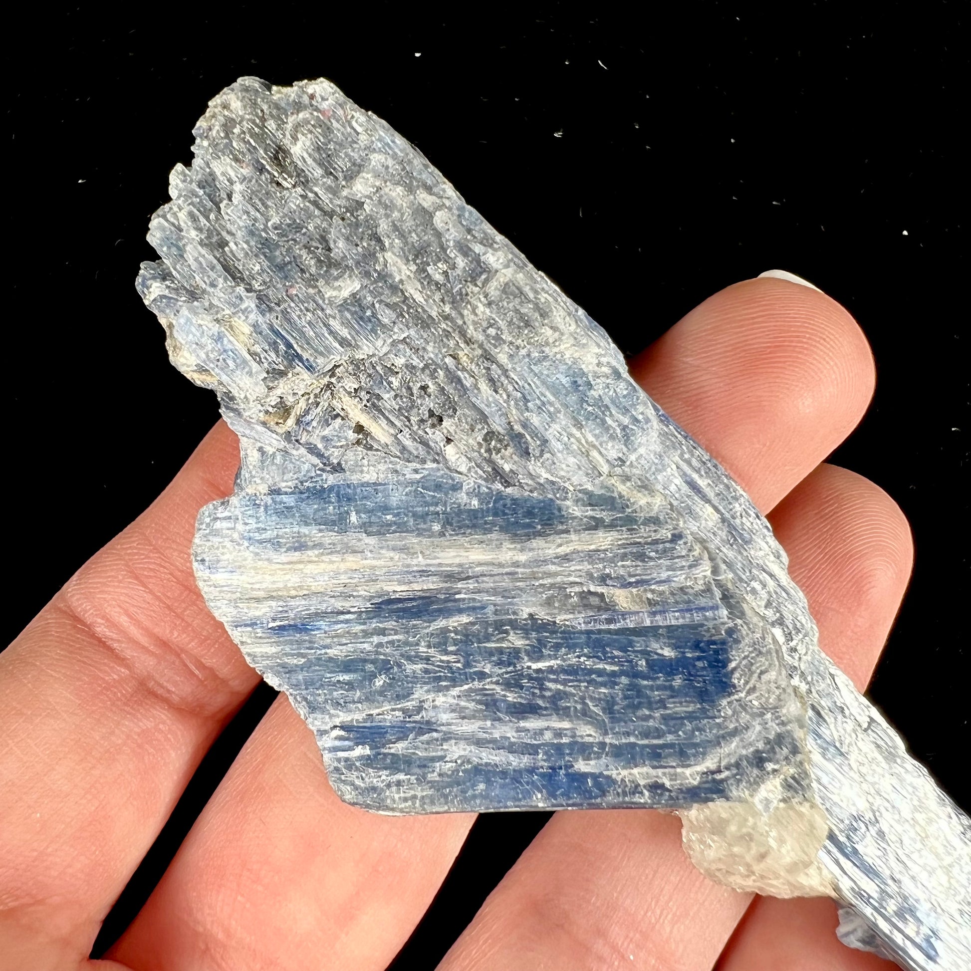 A twinned blue kyanite crystal specimen that measures 4.25 inches.