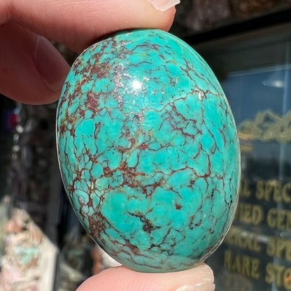 A loose, oval cabochon cut Tyrone turquoise stone.