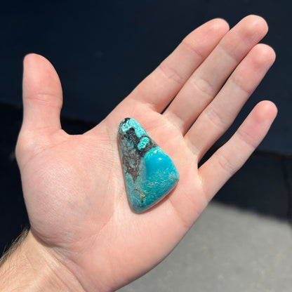 Loose polished Valley Blue turquoise stone.