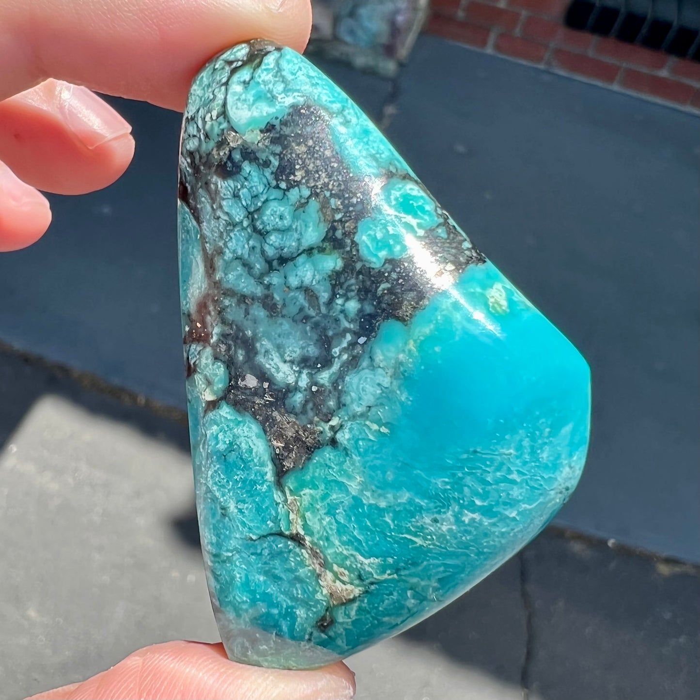 Loose polished Valley Blue turquoise stone.