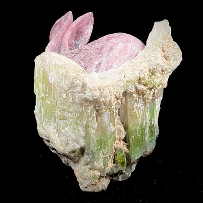 A stone rabbit carved from a conglomeration of watermelon tourmaline crystals by artist, Ronald Stevens.