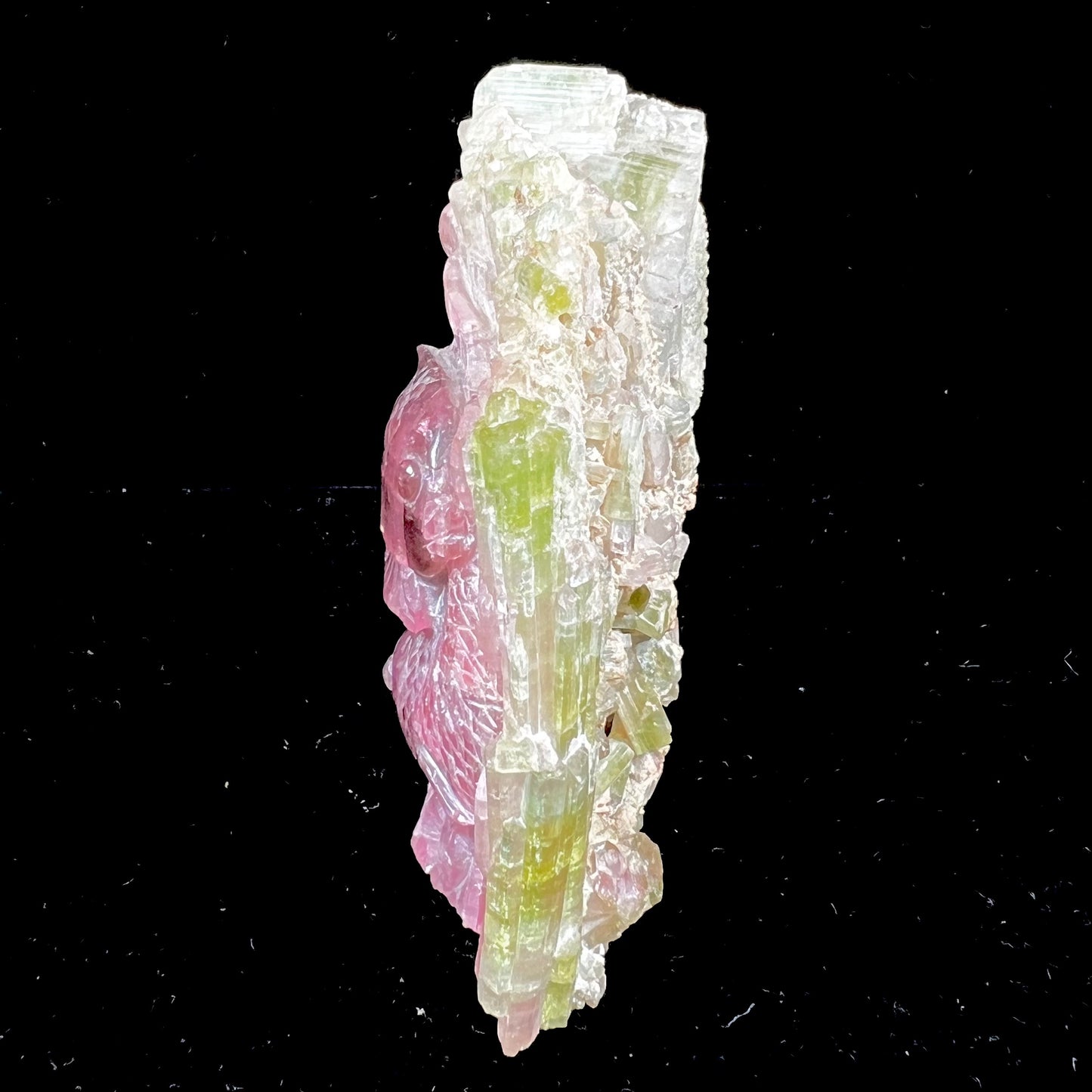 A stone carving of two fish swimming together carved from a watermelon tourmaline crystal conglomerate by artist, Ronald Stevens.