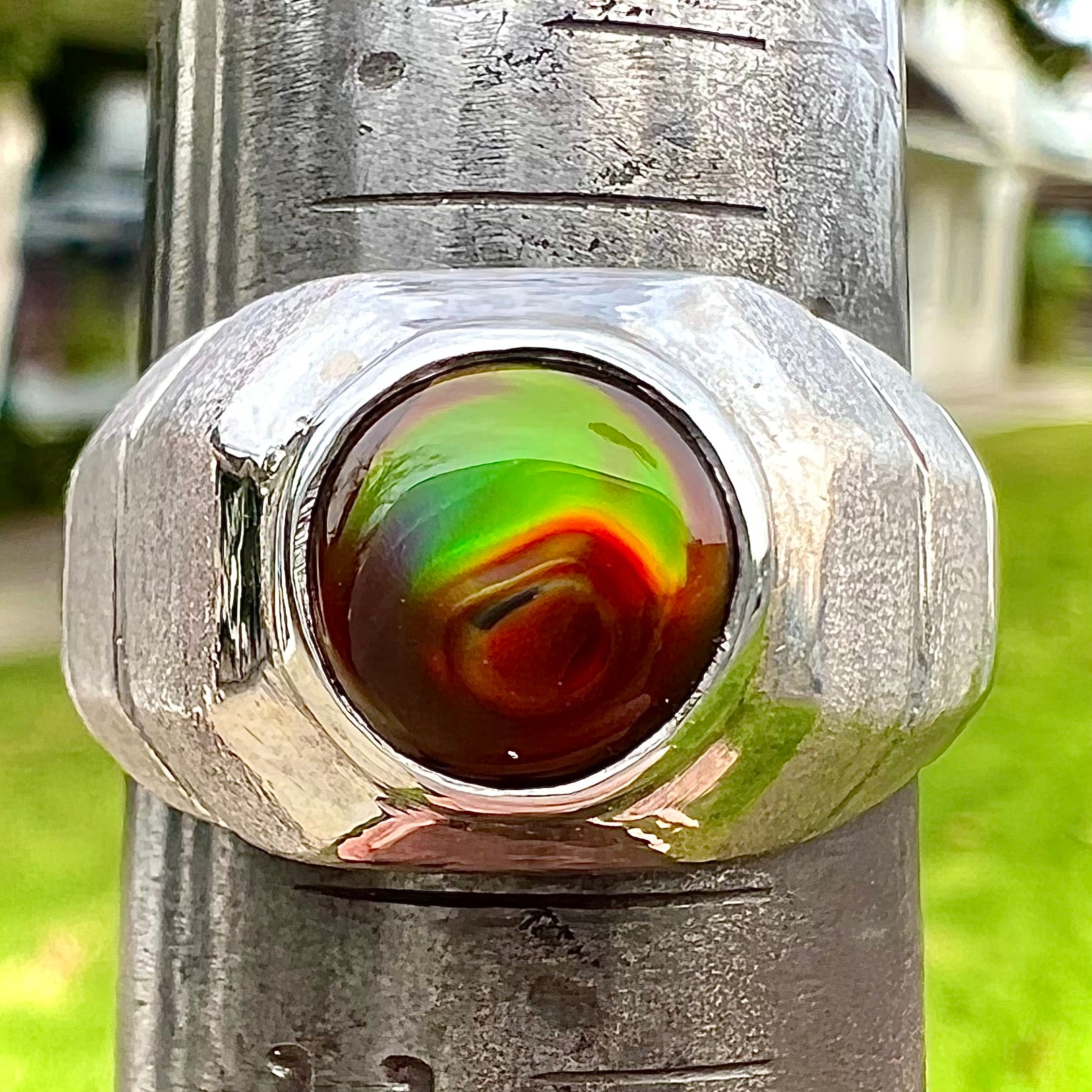 A round cabochon cut red and green fire agate set in a brushed metal white gold men's ring.
