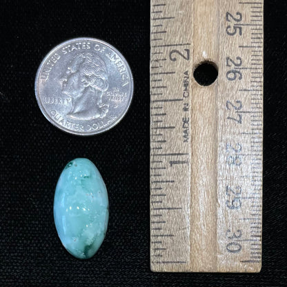 A loose, oval cabochon cut variscite stone from Utah, USA.