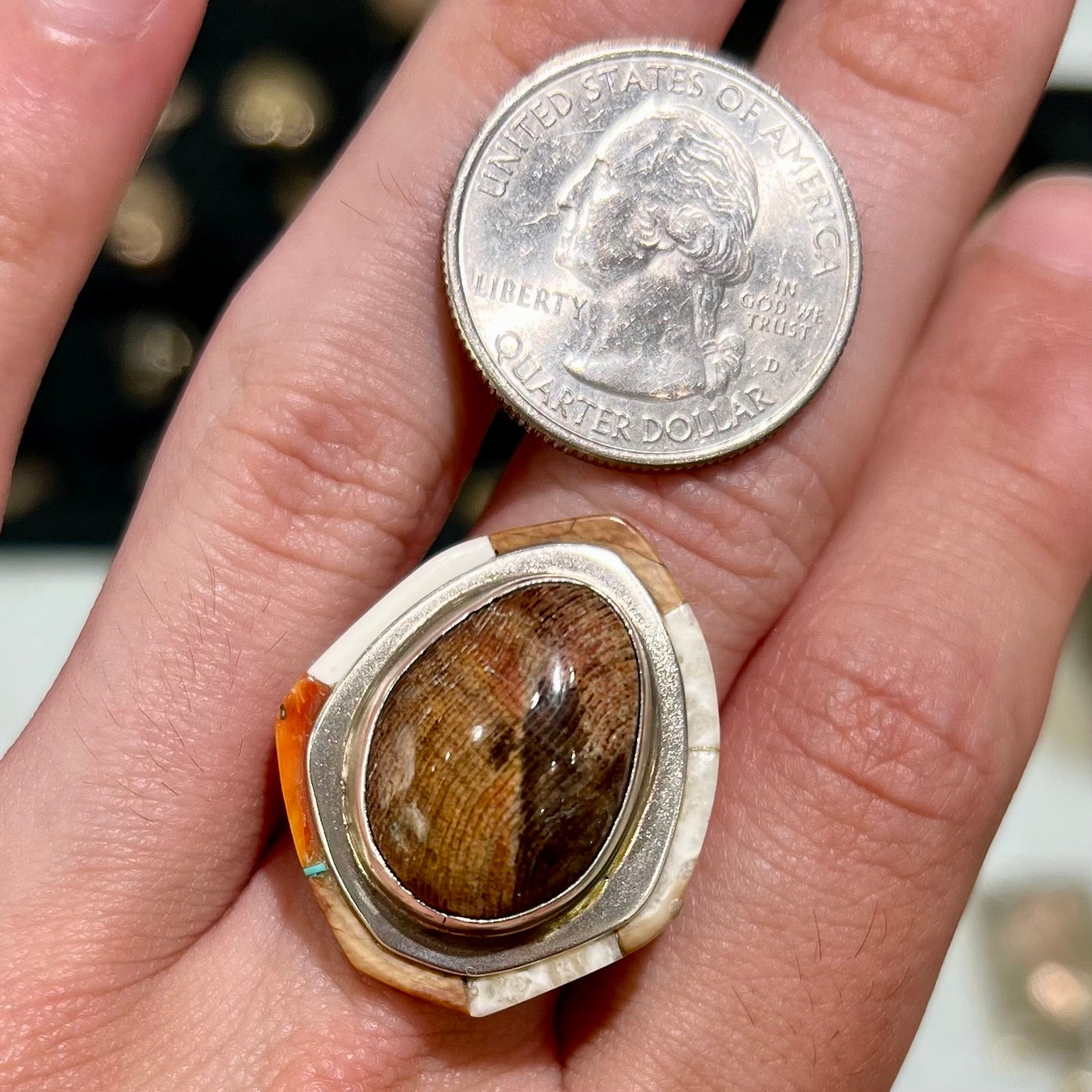 A silver ring handmade from a bezel set petrified wood stone, surrounded by quartz, carnelian, and bone inlay.